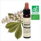 FLEUR DE BACH WHITE CHESTNUT