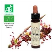 FLEUR DE BACH ELM