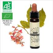 FLEUR DE BACH RED CHESTNUT