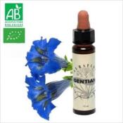 FLEUR DE BACH GENTIAN
