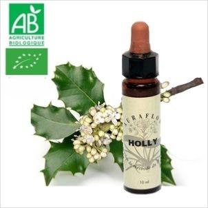 FLEUR DE BACH HOLLY